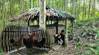 Building Our Dream Chicken Coop  New Chickens amp Ducks Arrive  Family Farm Adventures [upl. by Lynn]