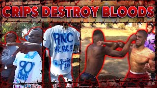 Crips v Bloods Massacre In Tennessee Prison [upl. by Scully]