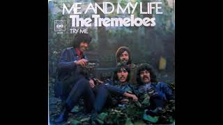 The Tremeloes – Me And My Life instrumental loop Pop Rock [upl. by Narhem]