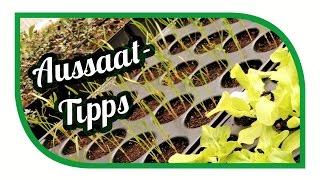 Aussaat amp Gartentipps im April 🌱 Jungpflanzenanzucht 🥦 Gemüse erfolgreich anbauen [upl. by Amsirp]