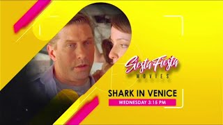 GTV  Siesta Fiesta Movies Shark in Venice 2008 Promo September 18 2024 [upl. by Reinertson390]