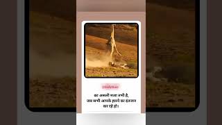 motivation shayari staus motivation motivatinalquotes success winner shorts jindagi [upl. by Eilis]