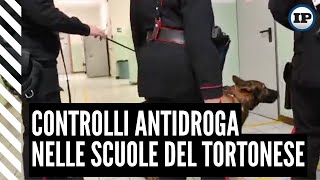 Controlli antidroga nelle scuole del Tortonese [upl. by Alded484]