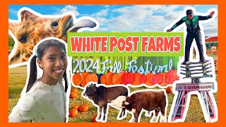 WHITE POST FARMS FALL FESTIVAL 2024 [upl. by Alleyne]