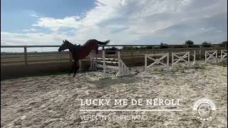 LUCKY ME DE NÉROLI  Verdi TN x Christiano [upl. by Lee683]