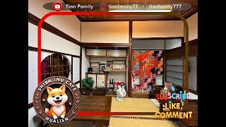 A Day at the Shiba Inu Cafe in Hualien 🐕❤️  Cute Dog Cafe Adventure [upl. by Shabbir]