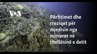 Përfitimet dhe rreziqet për mjedisin nga minierat në thellësinë e detit [upl. by Mateya584]