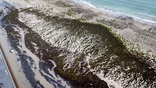 Investigan un muro bajo el mar Báltico que sirvió para cazar renos durante la Edad de Hielo [upl. by Abihsat134]