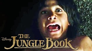 THE JUNGLE BOOK  Entspann dich  Disney HD [upl. by Kriste]