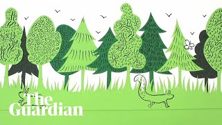 Rewilding made simple an animated guide [upl. by Bean906]