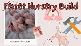 Preparing for BABY FERRETS  Check Out Our Nursery Build [upl. by Sedda392]