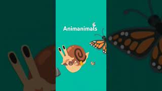 Animanimals animanimals [upl. by Obeng655]