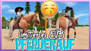 Sandy ist 1️⃣2️⃣ Minuten hysterisch 🤪 und KAUFT ein PFERD 🐴✅ SSO [upl. by Aiuqal]