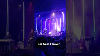 Bee Gees Forever Tribute Band 2024 [upl. by Ahsitam]