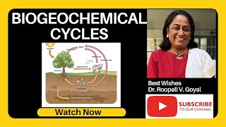 Biogeochemical Cycle A Journey through Natures Recycling हिंदी में shortvideo [upl. by Zurn]