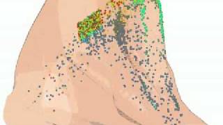 Nasal Drug Delivery  CFD Software [upl. by Durrell220]