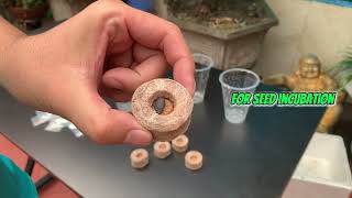 How to grow luffa at home you can do it very easily [upl. by Ennasor549]