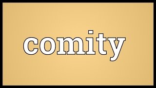 Comity Meaning [upl. by Catrina]