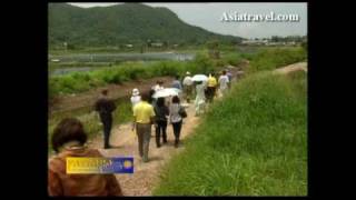 Shrimp Farm Thailand by Asiatravelcom [upl. by Berlinda]