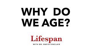 The Science Behind Why We Age  Lifespan with Dr David Sinclair 1 [upl. by Aip651]