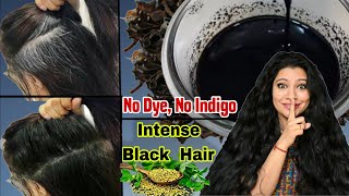 No DyeNo Indigo No Henna Get 100Black Hair Naturally amp Reverse Premature Greying ।Garima Singh । [upl. by Dnalyag]