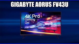 Монитор Gigabyte Aorus FV43U [upl. by Aihsak825]