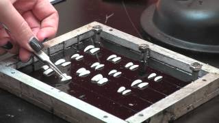 Mass Production Sectioning of Otoliths [upl. by Annair]