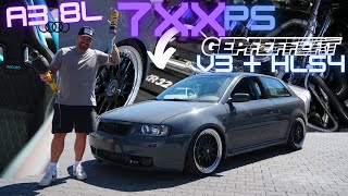 Audi A3 8L mit 7XXPS gepfeffert V3 mit HLS4 Dropkit [upl. by Rodmann177]