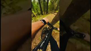 Mountain Biking  Fly off a drop and hit a 🌳 mtb mountainbiking sendit rainstormjig [upl. by Htebazil]