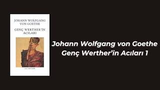 Johann Wolfgang von Goethe  Genç Wertherin Acıları 1 [upl. by Uaeb855]