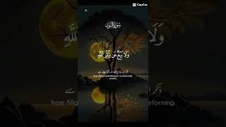 SURAH Al NOOR Subscribe [upl. by Burd464]