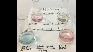 Alkalinity experiment [upl. by Anailil528]