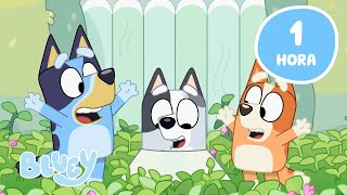 🔴AO VIVO Aventuras de Primavera com Bluey 🌸 💙  Melhores Momentos de Bluey  Bluey [upl. by Eniamrehs]