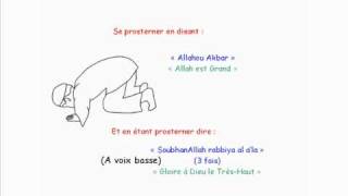 Apprendre La Prière Salat El Dohr  2ème prière de la journée [upl. by Perri190]