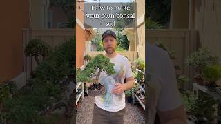 How to make your own bonsai soil bonsai bonsaitree plants beginnerbonsai howtobonsai garden [upl. by Gnel426]