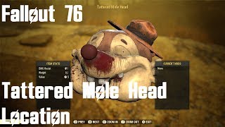 Fallout 76 Tattered Mole Head Location Dolly Sods Wilderness [upl. by Shaddock]