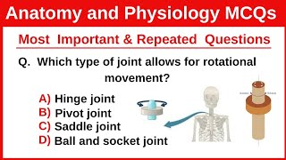 Top 30 Anatomy and Physiology MCQs for Nursing Competitive Exams  MustKnow Questions [upl. by Cissy]