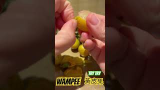 Wampee 黃皮果 wampee fruit interesting [upl. by Cardie]