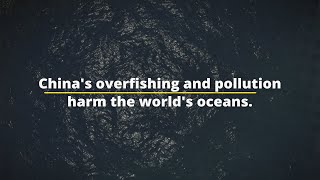 China’s Overfishing and Pollution Harm the World’s Oceans [upl. by Illek]