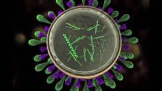 Science Today Virus Mutation  California Academy of Sciences [upl. by Trilbi]