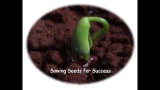 Sowing Seeds for Success [upl. by Persons]