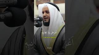 Beautiful Quran Recitation [upl. by Eelyahs]