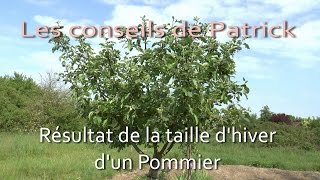 Résultat de la taille dhiver dun pommier [upl. by Elana64]