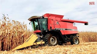 MASSEY FERGUSON 9790 Combine Harvesting Corn [upl. by Auka]