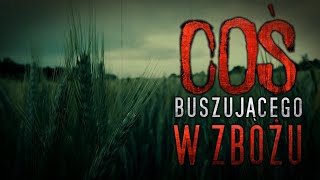 Coś buszującego w zbożu  CreepyPasta PL [upl. by Callas]