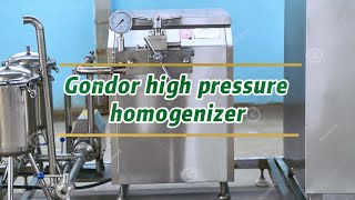 🚀 Gondor High Pressure Homogenizer for Superior Dairy Production – Efficient amp Reliable ✅ [upl. by Obrien]