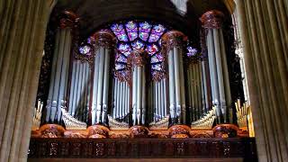 JS BACH  Toccata adagio and fuga BWV 564 at Notre Dame de Paris Best version ever [upl. by Outhe92]