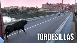 Tordesillas 2024 Toro de la Hosteleria [upl. by Sedecrem183]