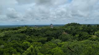 Tikal Mayan ruins Guatemala 1 [upl. by Mctyre]