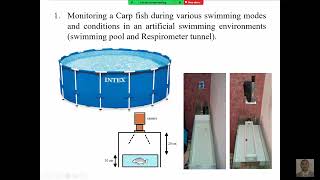 Modeling and Design of Biomimetic Robots Multiple Mobile Robot Systems MMRS [upl. by Clo658]